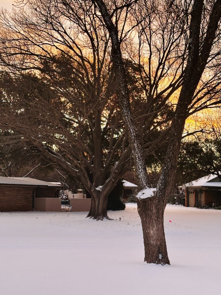 Monday Notes at My House